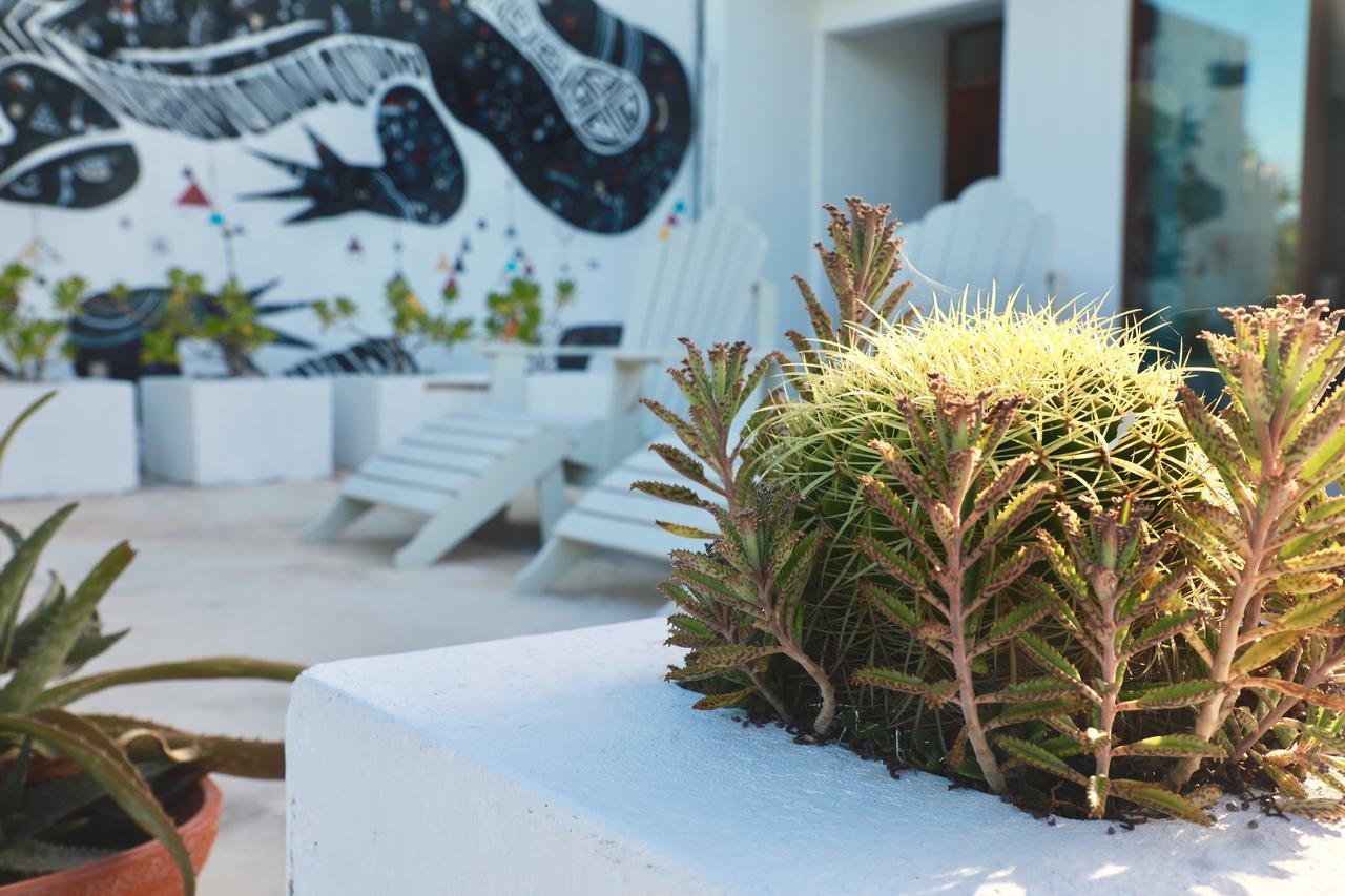 Aparthotel Tuup Jungle Tulum Exterior foto